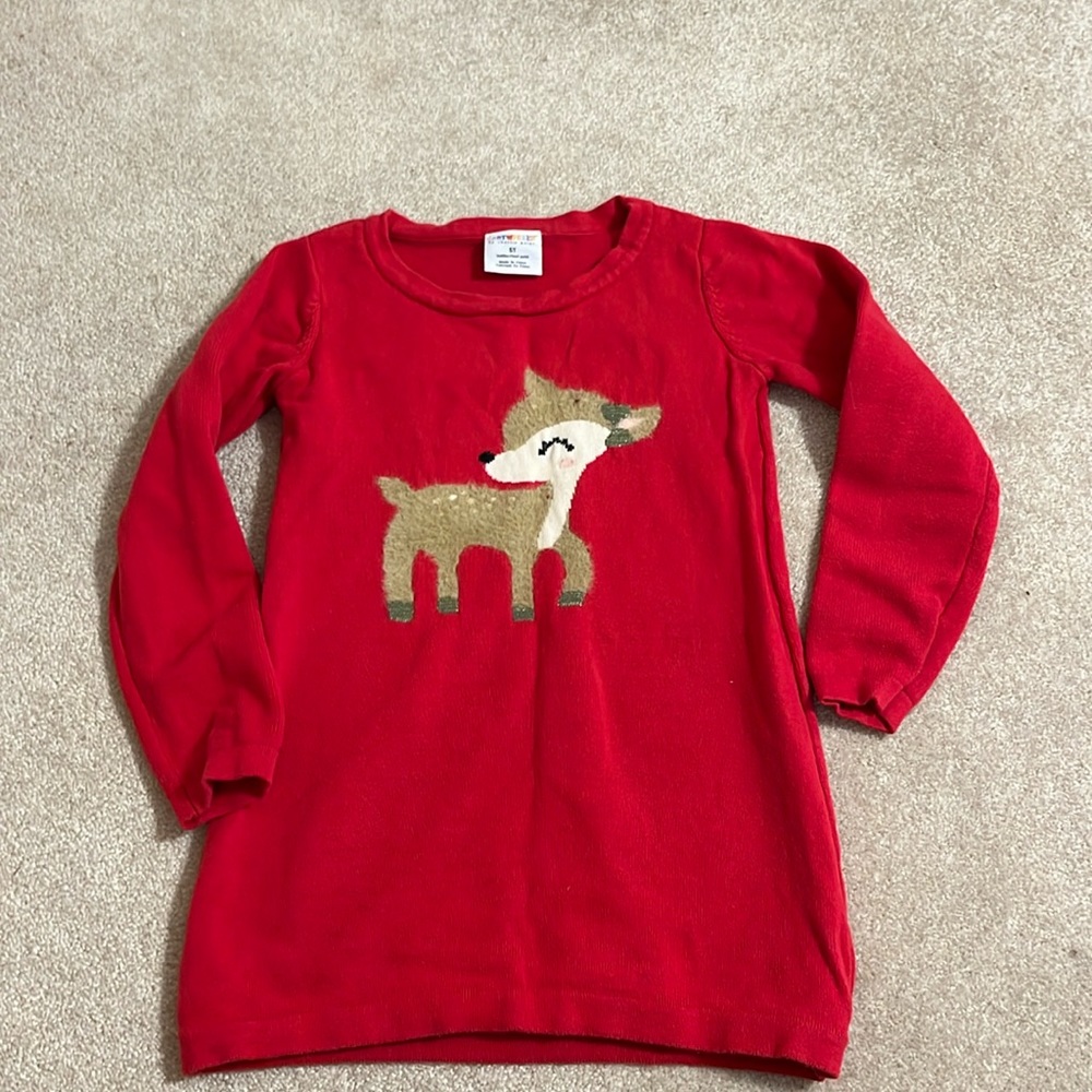 Adorable Winter Dress